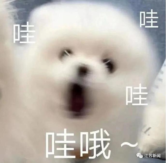 DƬ